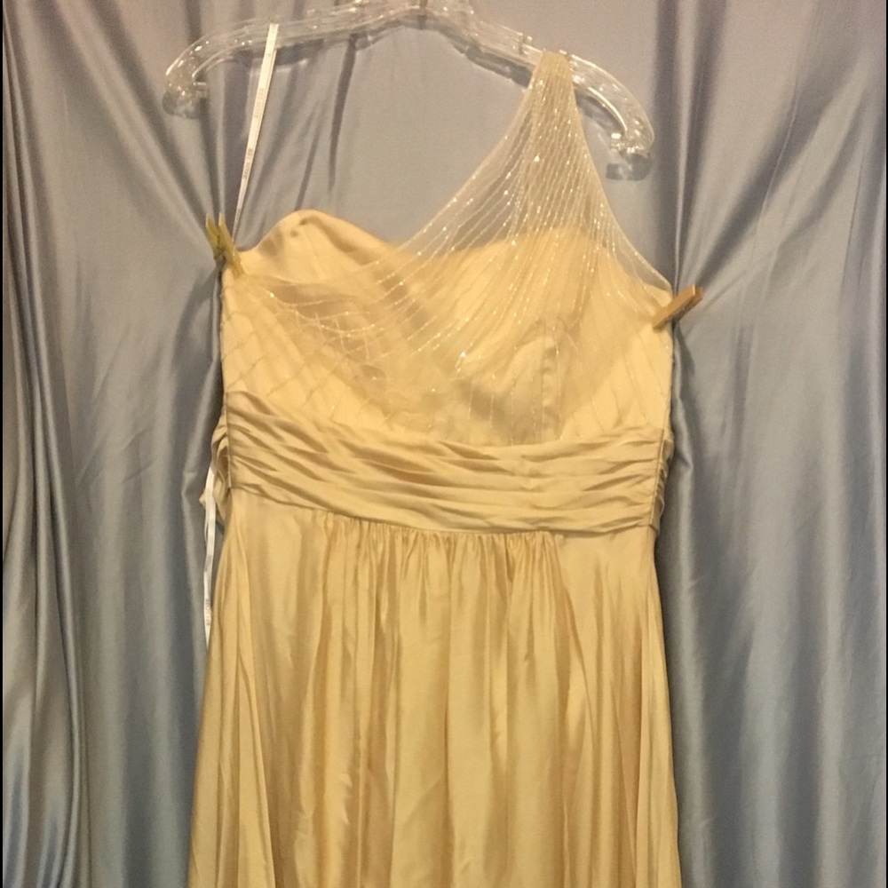 Belsoie Gown